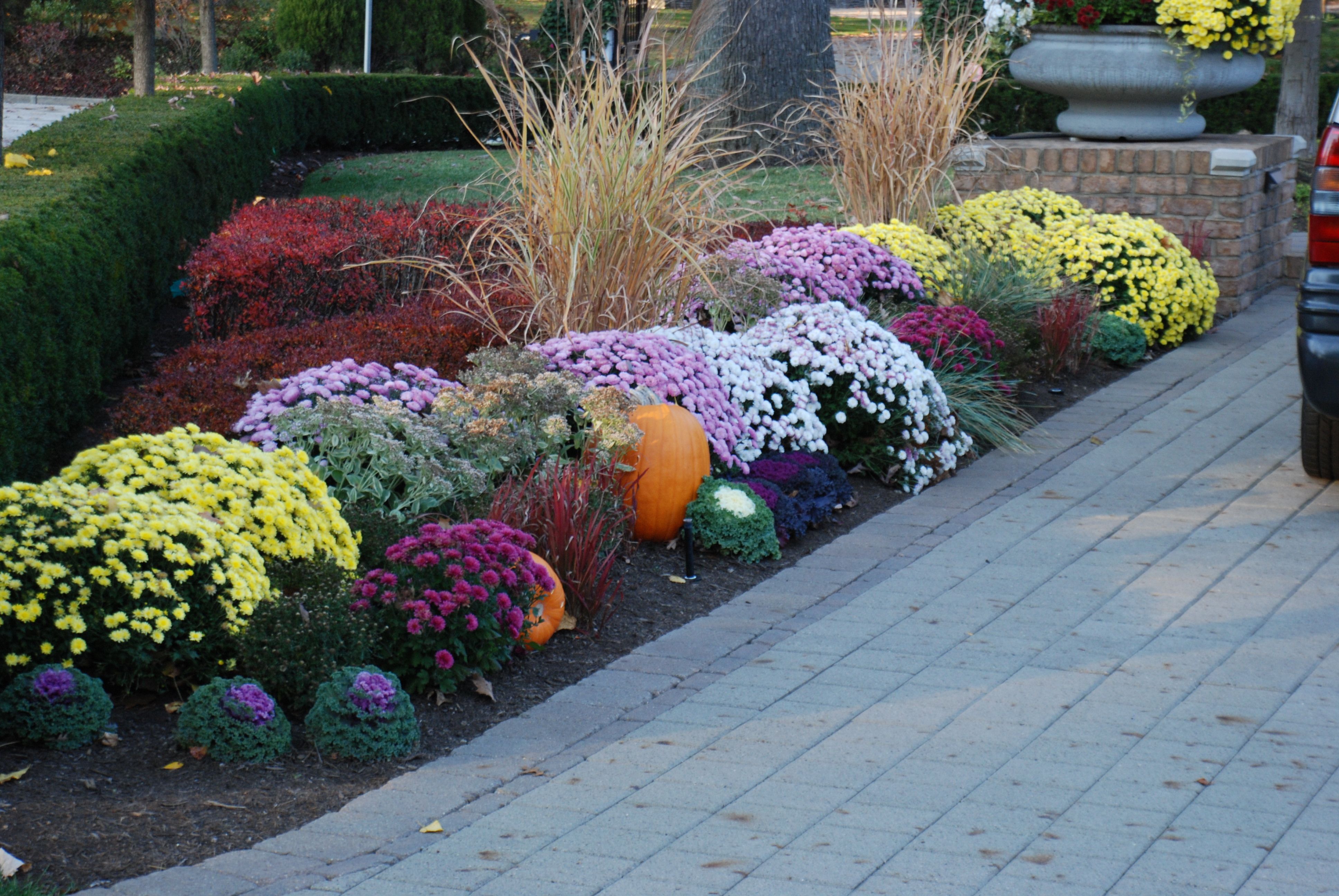 Fall Flower Beds