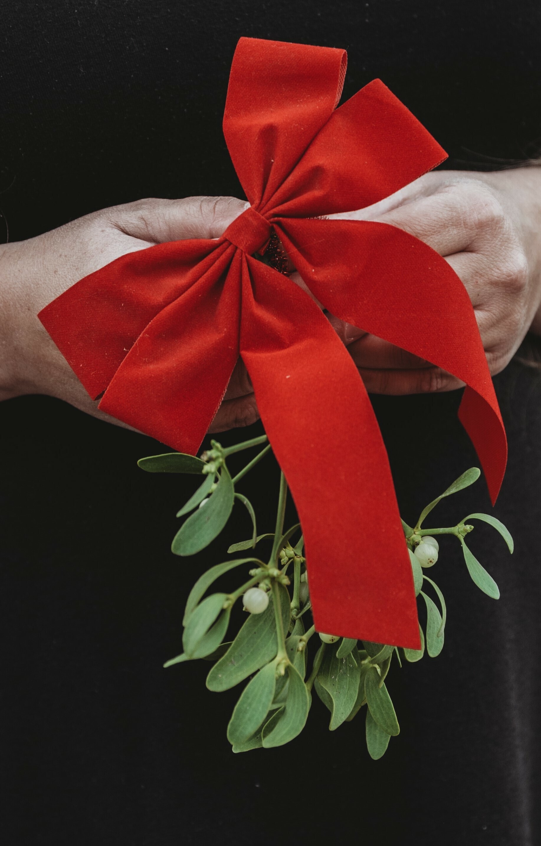 Fresh Mistletoe Mistletoe for Christmas