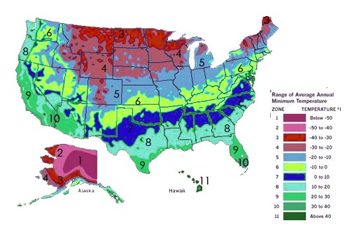Flowering Vines For Perfect Your Planting Zone Tn Zone Map 2 Jpg